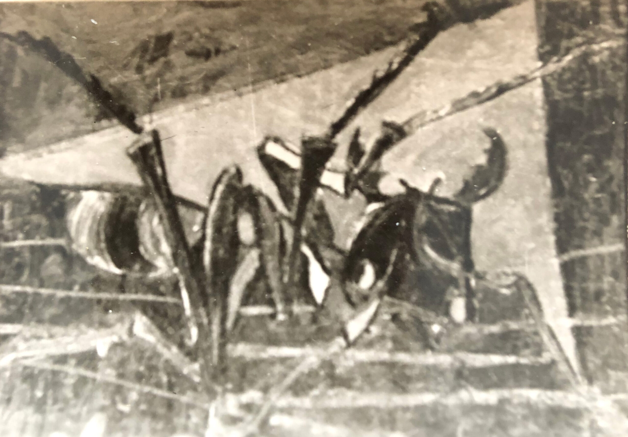 استاد جلیل ضیاءپور، مورچه‌سواری، ۱۳۲۸