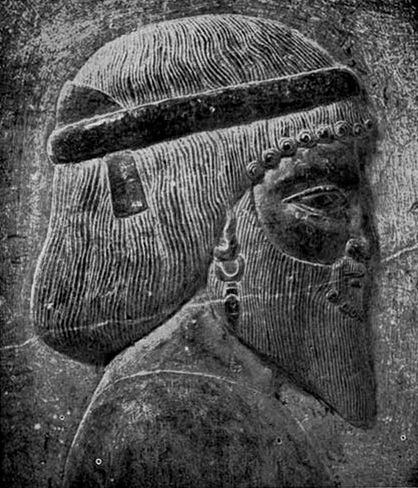 Relief of an Indo-Aryan (Bactrian) face at Persepolis