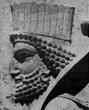 Relief of an Aryan face from the Persian people at Persepolis