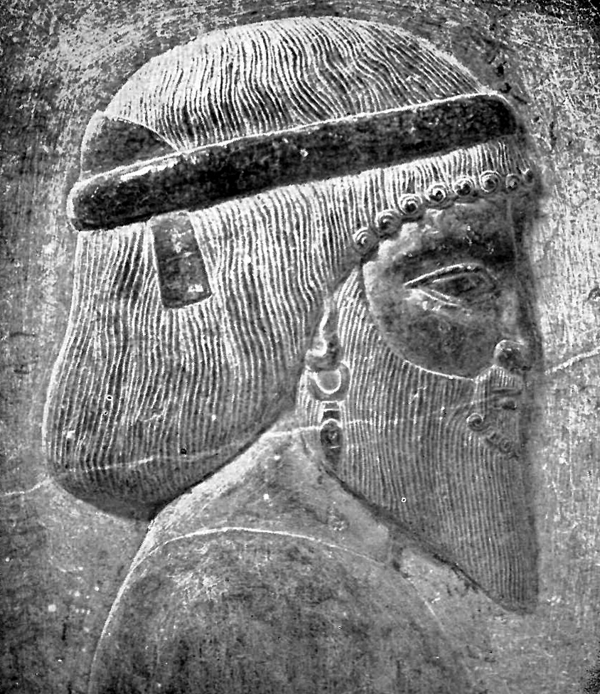 Example of an Indo-Aryan face - Bactrian - Persepolis