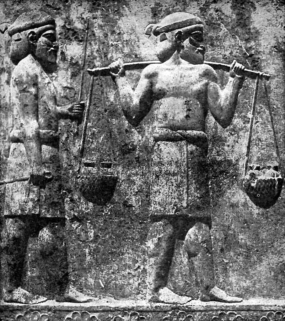 General appearance of an Indian Aryan - Persepolis