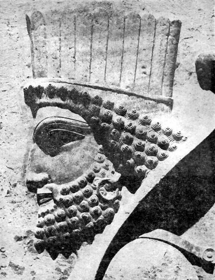 Example of an Aryan face from the Persian people - Persepolis