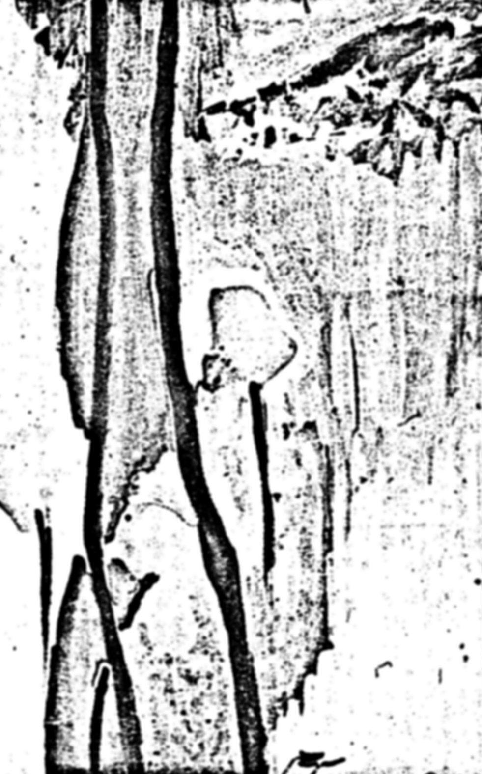 گواش، سهراب سپهری