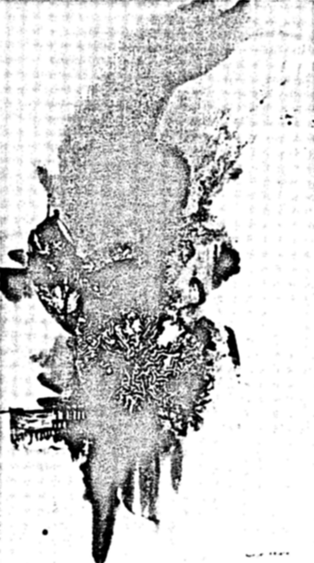 کمپوزیسیون، معصومه سیحون