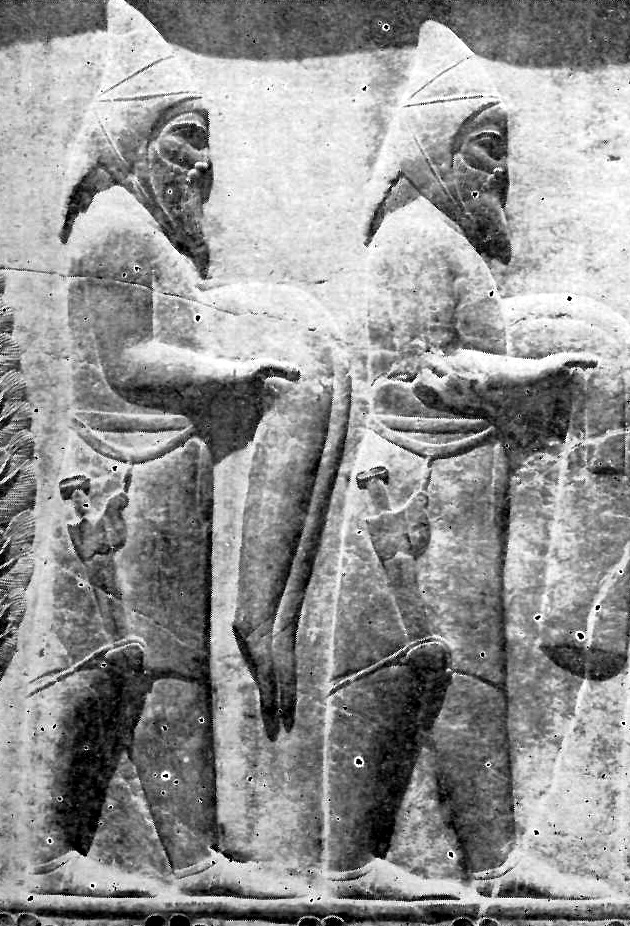 Example of the general appearance and face of a Scythian of the so-called pointed-cap Scythians, one of the northern peoples - Persepolis